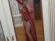 Фото проститутки СЕЗИМ  2