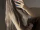 Фото проститутки ALINA 1